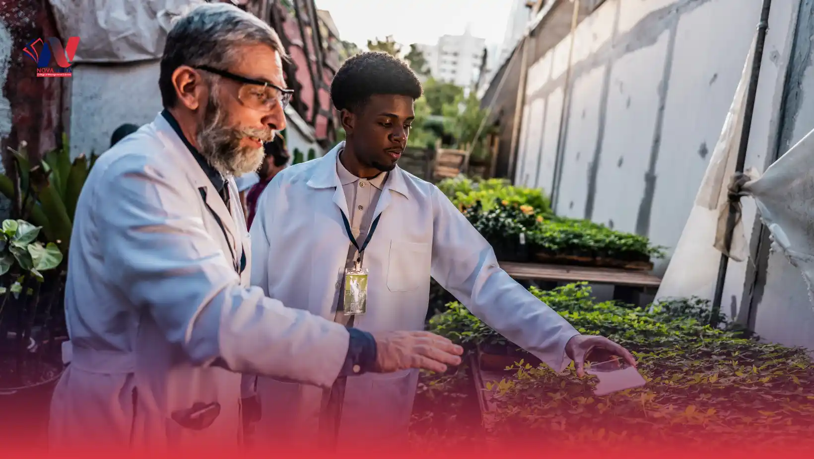 ICTQual Level 6 Diploma in Agriculture Engineering 360 Credits – Three Years