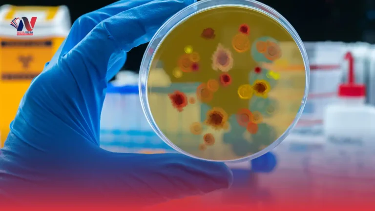 ICTQual AB Level 6 International Diploma in Public Health and Epidemiology